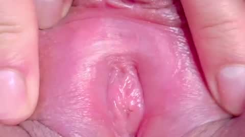 orchidekitty online show from June 11, 2026, 1:16 am