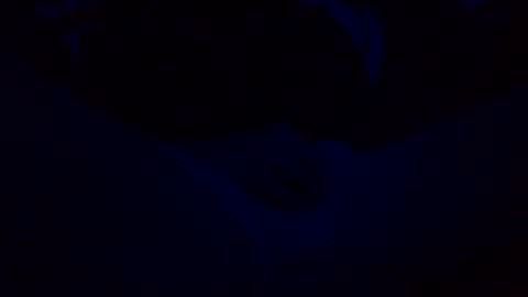 orgazim online show from October 29, 2025, 10:06 am