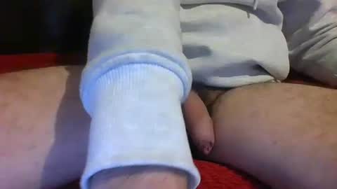 ornytologist online show from January 17, 2025, 9:49 am