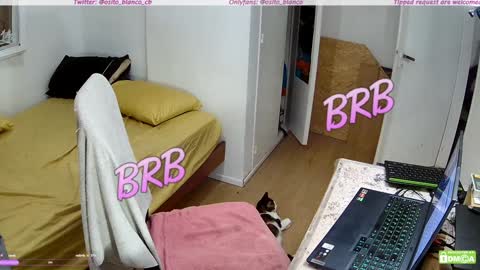 Snapshot of osito_blanco chatting on January 30, 2025, 5:19 am Osito Blanco online show from January 30, 2025, 5:19 am