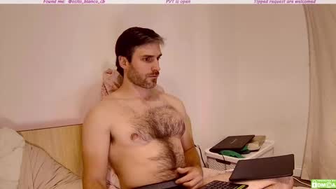 Snapshot of osito_blanco chatting on November 6, 2025, 12:55 am Osito Blanco online show from November 6, 2025, 12:55 am