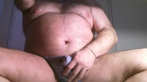 Oso Licencioso online show from May 26, 2026, 4:30 am