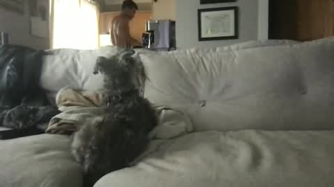 rossignol online show from September 13, 2025, 4:29 pm