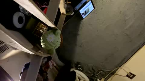 CoCreatorBlancki online show from January 3, 2025, 4:22 am