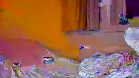 Snapshot of pachoxx9 chatting on February 1, 2025, 10:44 pm Pachoxx9 online show from February 1, 2025, 10:44 pm