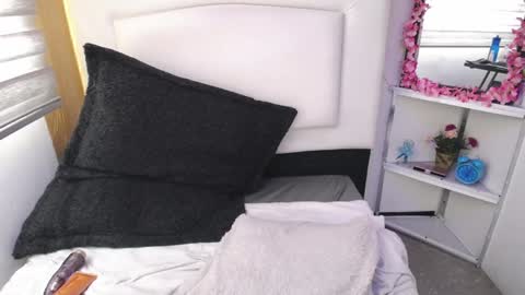 Snapshot of palmer_mix chatting on January 8, 2025, 6:20 pm Palmer online show from January 8, 2025, 6:20 pm