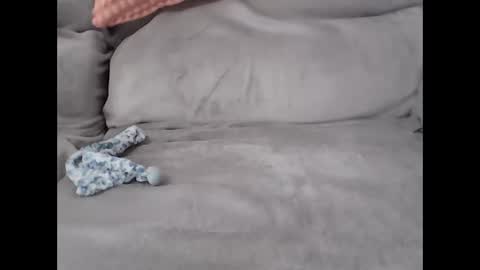 pal online show from February 27, 2026, 8:25 am