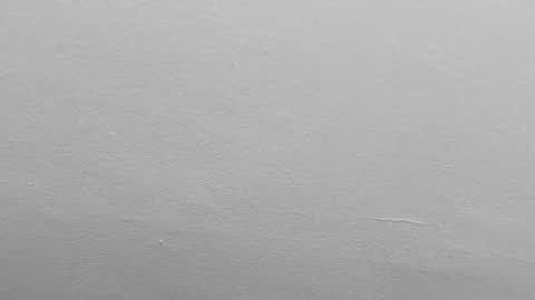 Snapshot of pamela_karim chatting on February 1, 2025, 9:51 pm Pamela karim online show from February 1, 2025, 9:51 pm