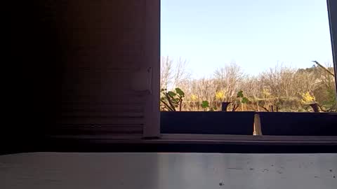 angel hris online show from April 5, 2026, 3:09 pm