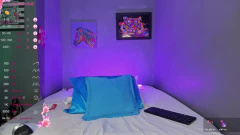 Snapshot of pammelaross chatting on February 10, 2026, 5:17 pm Pammela online show from February 10, 2026, 5:17 pm