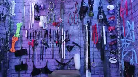 PandoraNez online show from February 12, 2026, 3:34 am