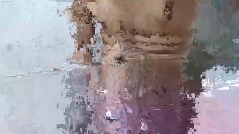 pankubig online show from September 29, 2025, 9:25 am