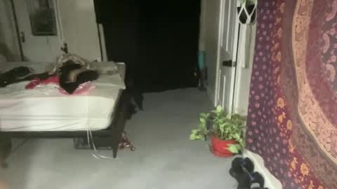 Pantiesofthefae online show from February 21, 2025, 12:16 am