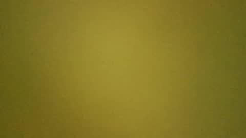 LaRocca online show from March 14, 2026, 10:53 am