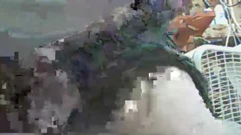 Snapshot of papajb70 chatting on September 29, 2025, 2:27 am papajb70 online show from September 29, 2025, 2:27 am