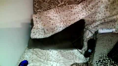 Snapshot of parlay0028 chatting on December 23, 2024, 10:33 pm Parlay tellio online show from December 23, 2024, 10:33 pm