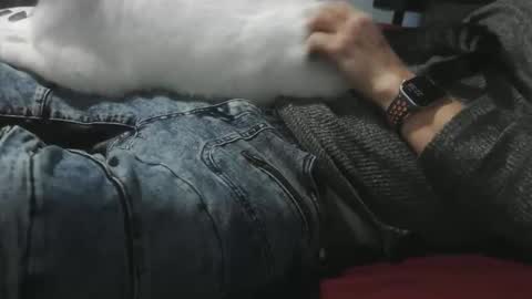 pasexhibe online show from February 1, 2026, 3:38 am