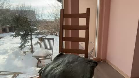 Andreea online show from February 20, 2026, 6:37 am