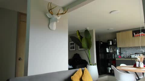 Paul online show from April 10, 2026, 4:55 pm