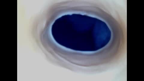 Paula 18 Aninhos online show from December 23, 2025, 1:03 am