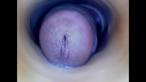 Paula 18 Aninhos online show from March 24, 2026, 5:18 pm