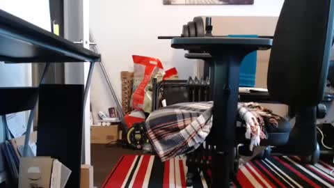 Snapshot of paulie120464 chatting on March 3, 2025, 4:24 pm paulie120464 online show from March 3, 2025, 4:24 pm