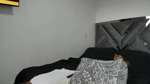 Paulina online show from November 12, 2025, 9:14 pm