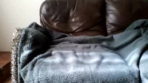 paurlien online show from March 21, 2026, 11:04 am