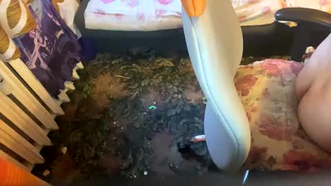 pawelmajster3 online show from October 18, 2025, 3:35 pm