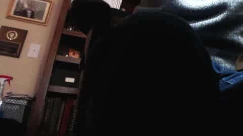 pem1650 online show from January 12, 2025, 10:54 pm