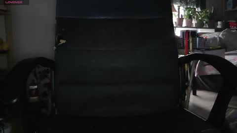 peregrintpelfox online show from February 4, 2026, 9:04 am