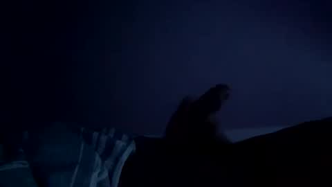 perfect427482577143 online show from February 26, 2026, 8:24 am