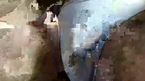 perfectFTM online show from April 3, 2026, 6:33 am