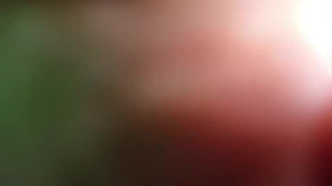 Snapshot of perla_lovely chatting on May 1, 2026, 12:54 pm perla_lovely online show from May 1, 2026, 12:54 pm