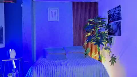  PERLA online show from June 14, 2026, 3:58 pm