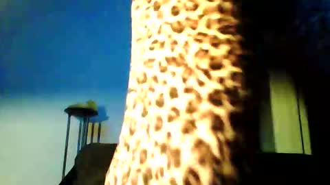 permageil_nackt_alt online show from February 26, 2026, 6:51 pm