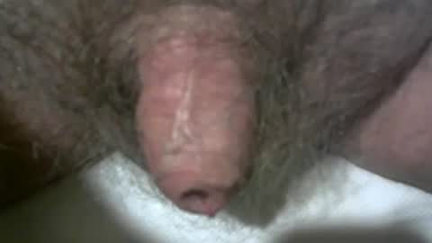 Snapshot of peterpeteropoulos chatting on February 7, 2025, 9:48 pm peterpeteropoulos online show from February 7, 2025, 9:48 pm