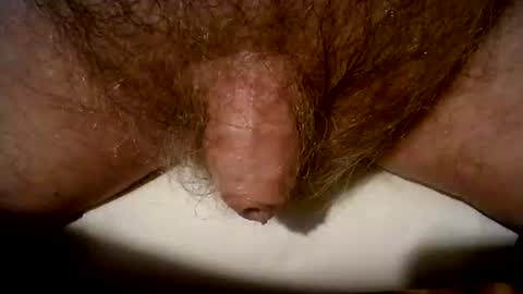 Snapshot of peterpeteropoulos chatting on March 8, 2025, 9:08 pm peterpeteropoulos online show from March 8, 2025, 9:08 pm