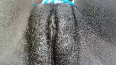 petiteme1 online show from January 18, 2025, 2:03 am