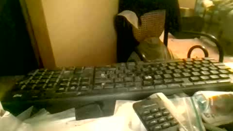 peyo873996 online show from May 10, 2026, 8:14 pm