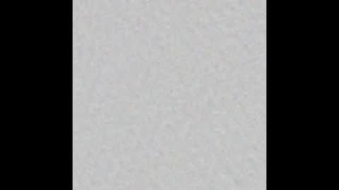 peytonn_monroe online show from October 8, 2025, 11:30 am