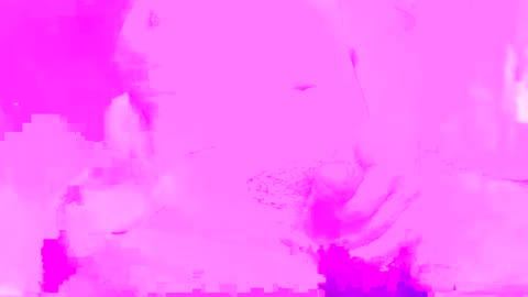 phantom online show from December 18, 2024, 5:21 pm