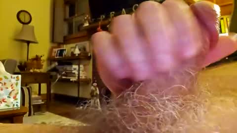 Snapshot of phil719 chatting on December 17, 2024, 4:34 am Phil online show from December 17, 2024, 4:34 am