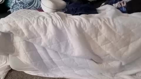 phillipdee online show from January 7, 2026, 5:04 pm