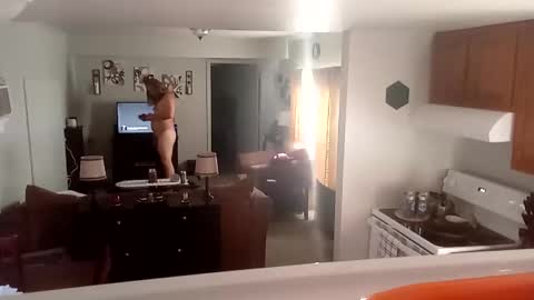 Snapshot of phinfan35276 chatting on February 23, 2025, 8:44 pm Phinfan online show from February 23, 2025, 8:44 pm