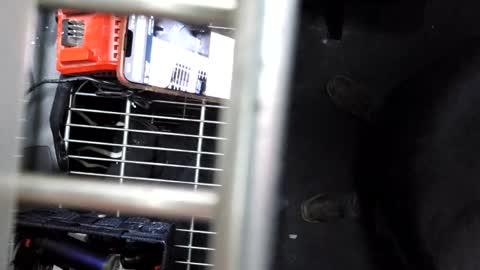 pickleback69 online show from September 21, 2025, 7:43 am