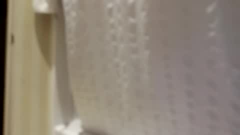 Snapshot of pigbear4trans chatting on September 30, 2025, 6:51 am pigbear4trans online show from September 30, 2025, 6:51 am