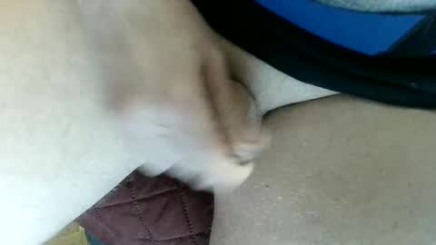 pippo online show from February 4, 2025, 8:49 pm