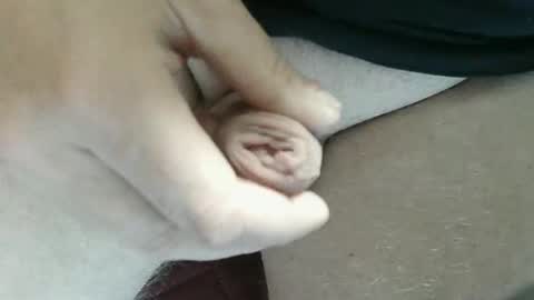 pippo online show from November 2, 2025, 10:01 pm