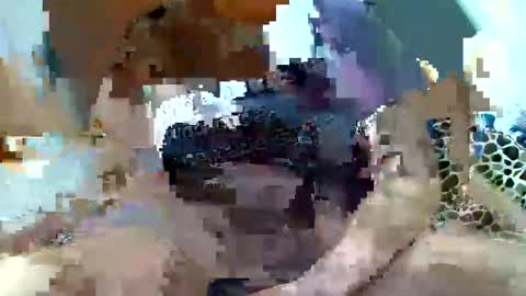 Snapshot of pislezg1 chatting on February 7, 2025, 11:45 pm pislezg1 online show from February 7, 2025, 11:45 pm